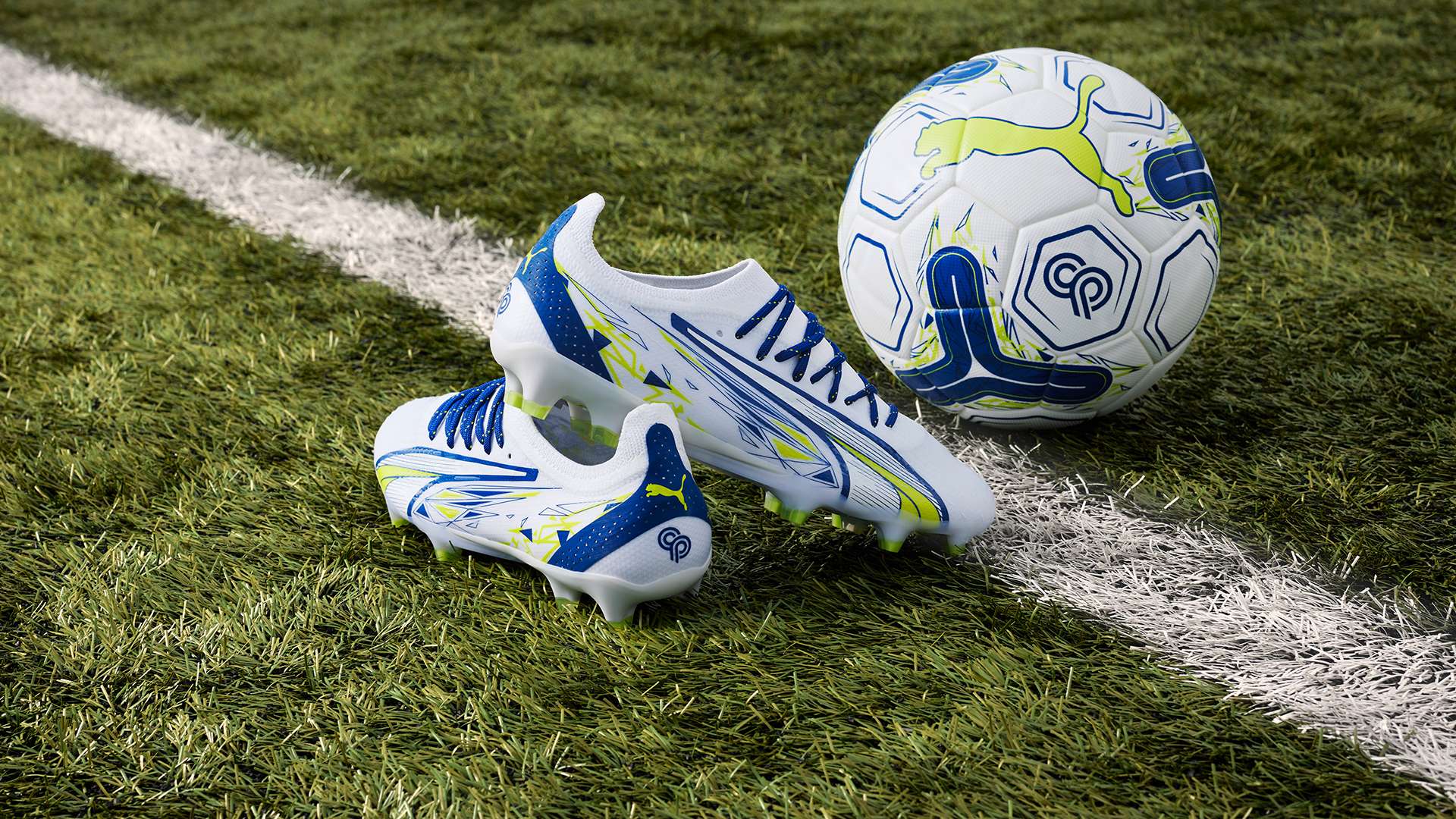 性各有差异 性各有差异