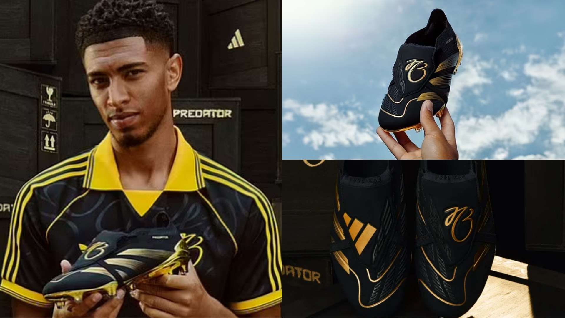 引进了国外 引进了国外